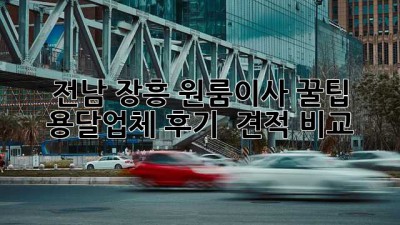 전남 장흥 원룸이사 꿀팁🍯 용달업체 후기 & 견적 비교