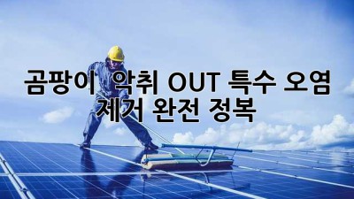 🏡 곰팡이 & 악취 OUT! 특수 오염 제거 완전 정복 🛡️